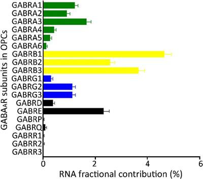 Transcriptional and bioinformatic analysis of GABAA receptors expressed in oligodendrocyte progenitor cells from the human brain